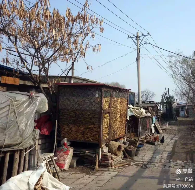 庄稼院【三十八】钢铁村